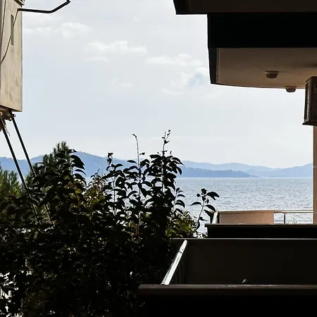 Amelia Apartment *